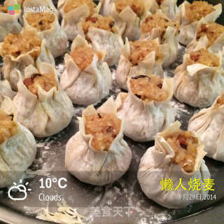 懒人烧麦-详细步骤的做法