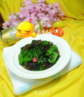 黑木耳拌菠菜的做法