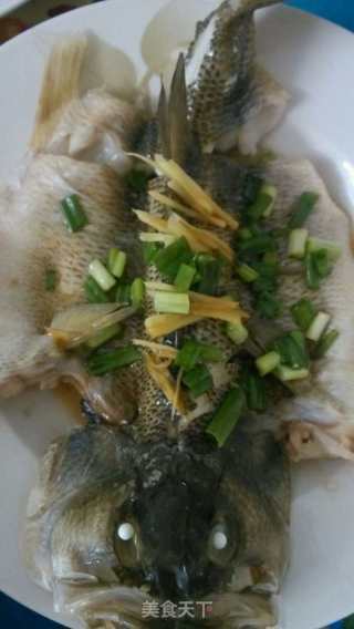 清蒸鲈鱼的做法