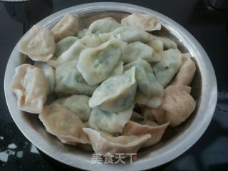 韭菜鸡蛋饺子的做法