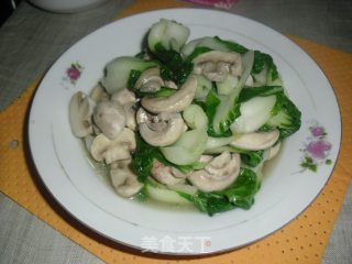 口蘑炒白菜的做法