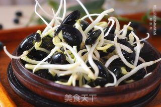 自制黑豆芽的做法