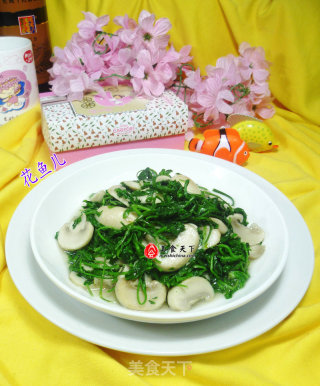 荠菜炒蘑菇的做法