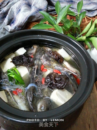 黄颡鱼炖豆腐的做法
