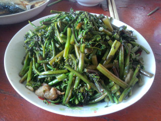 鲜蕨菜炒肉的做法