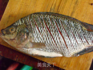 蒜香烧鲷鱼的做法步骤：4