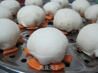 包子的做法步骤：2