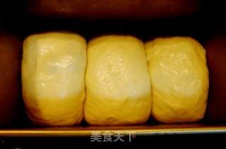 桂圆吐司面包的做法步骤：2