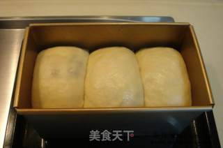 桂圆吐司面包的做法步骤：2