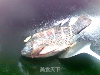 番茄鲫鱼汤的做法步骤：2