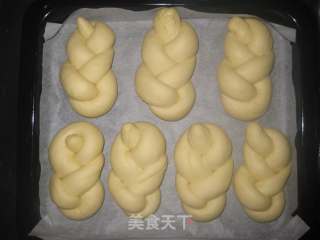 芝麻麻花包的做法步骤：2