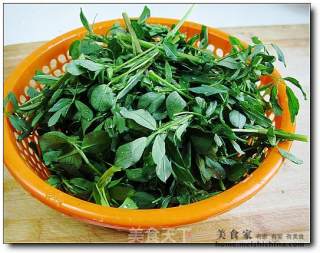 蒜炒苜蓿的做法步骤：2