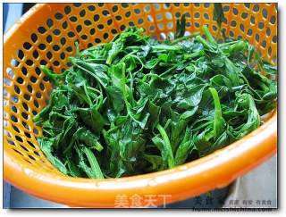 蒜炒苜蓿的做法步骤：2