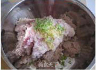鲅鱼水饺的做法步骤：3