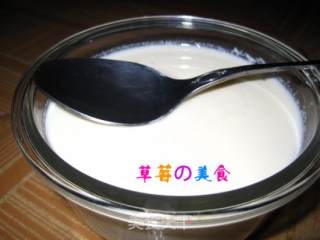 姜撞奶的做法步骤：2