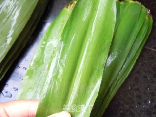 鲜肉粽子的做法步骤：4