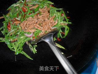 四季豆炒肉丝的做法步骤：2