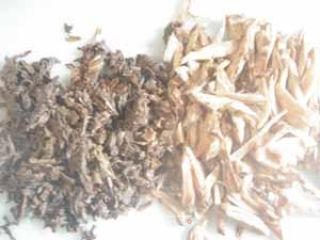 清炒紫香菜的做法步骤：2