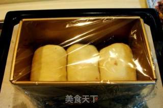 牛肉蔬菜面包的做法步骤：3