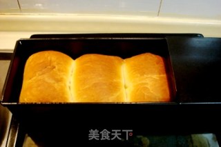 鲜牛奶白土司面包的做法步骤：3