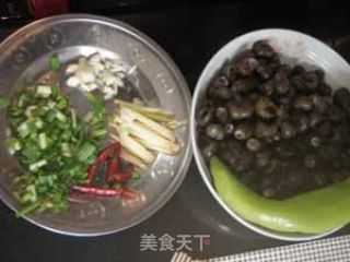 辣爆蛳螺的做法步骤：4
