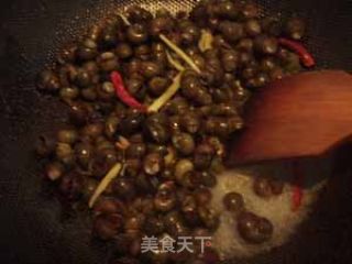 辣爆蛳螺的做法步骤：4