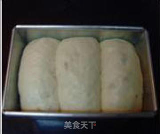 蜂蜜提子吐司的做法步骤：3