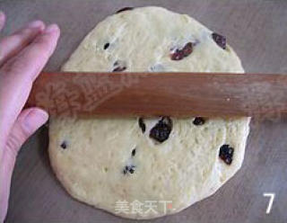 蔓越莓司康的做法步骤：5