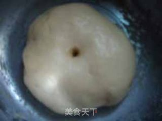 杏子面包的做法步骤：5