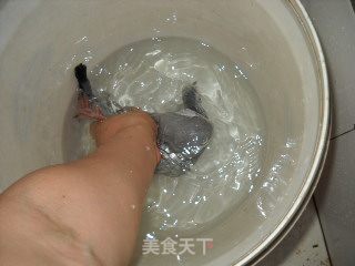 嫩肤养颜之清炖乳鸽的做法步骤：2