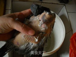 嫩肤养颜之清炖乳鸽的做法步骤：2