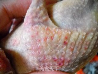 嫩肤养颜之清炖乳鸽的做法步骤：2