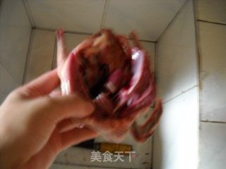 嫩肤养颜之清炖乳鸽的做法步骤：2