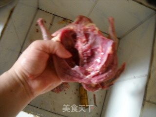 嫩肤养颜之清炖乳鸽的做法步骤：2