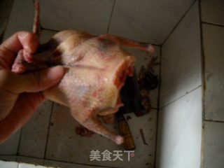 嫩肤养颜之清炖乳鸽的做法步骤：2