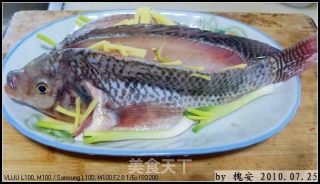粤菜——清蒸（福寿）鱼的做法步骤：2