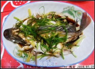 粤菜——清蒸（福寿）鱼的做法步骤：2