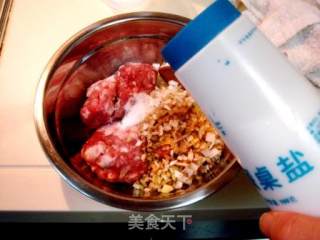 家常美食“千层肉饼”的做法步骤：4
