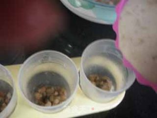 绿豆酸奶棒冰的做法步骤：3