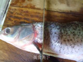 麻辣水煮鱼的做法步骤：4