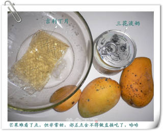 夏季芒果冻的做法步骤：2