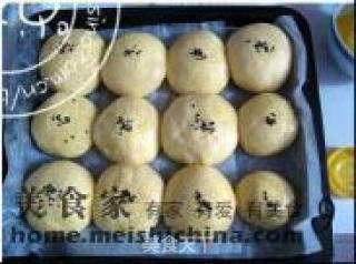香甜、绵软、营养的早餐包——【南瓜豆沙排包】的做法步骤：2