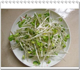 凉拌豆芽的做法步骤：2