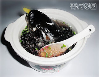 都市快捷简单营养靓汤——紫菜鱼头汤的做法步骤：5