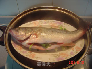 粤式蒸鲈鱼的做法步骤：2