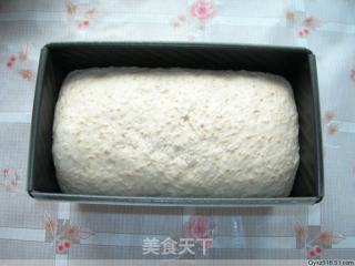 纯手工制作——全麦吐司的做法步骤：7