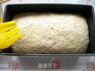纯手工制作——全麦吐司的做法步骤：7