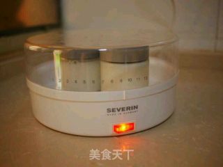自制原味酸奶的做法