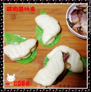 咸肉荷叶夹的做法步骤：3