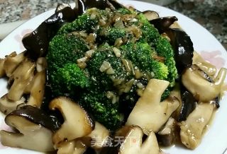 鲍汁香菇西兰花的做法